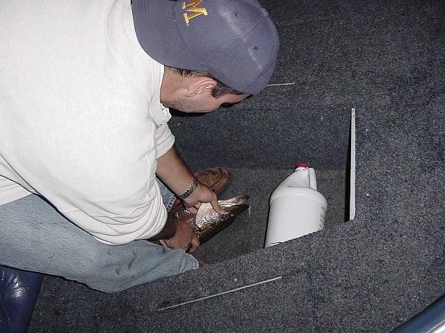 droppedpike4.jpg (640x480; 68725 bytes)