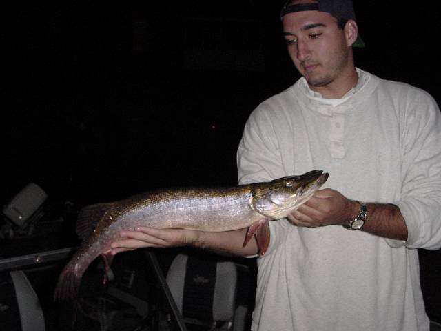 droppedpike5.jpg (640x480; 25248 bytes)