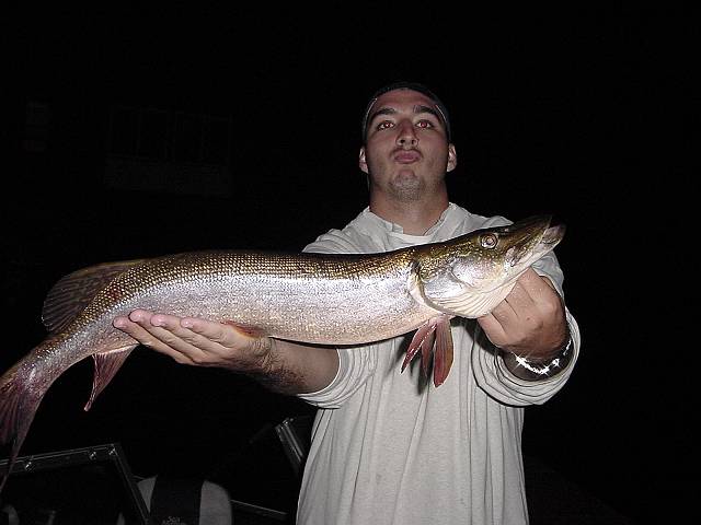 droppedpike6.jpg (640x480; 34777 bytes)
