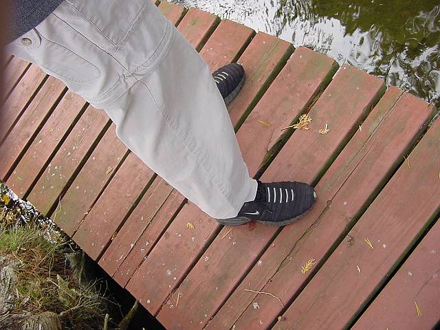 alexfeet.jpg (640x480; 64760 bytes)