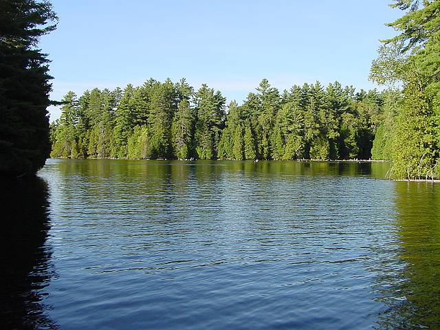 cove2.jpg (640x480; 77352 bytes)