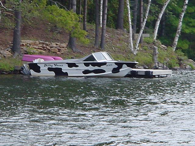milkywaves2.jpg (640x480; 74401 bytes)