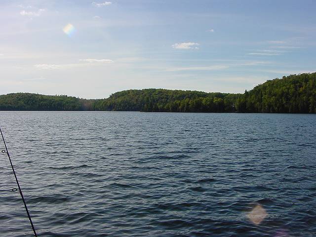 view1.jpg (640x480; 52200 bytes)