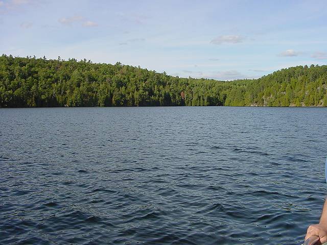 view2.jpg (640x480; 61111 bytes)